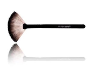Fan Brush