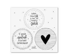 Set van 3 leuke cadeaustickers - In verwachting