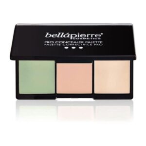 Pro Concealer Palette 2