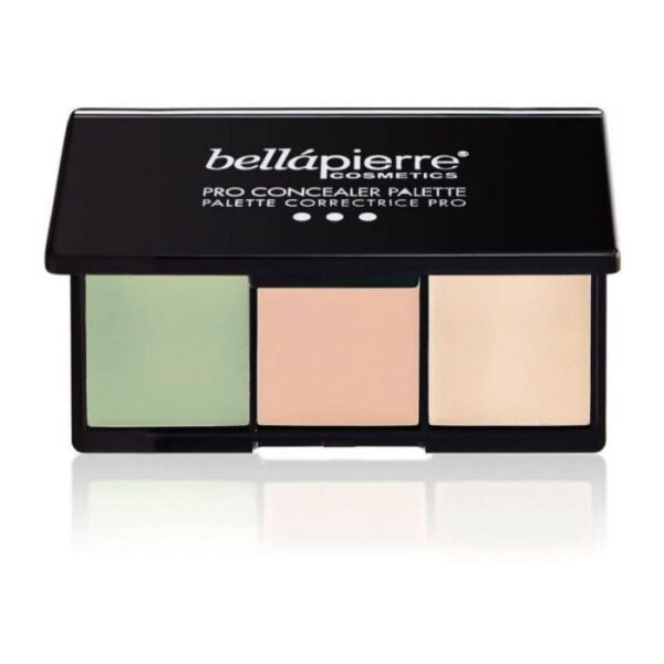 Pro Concealer Palette 2