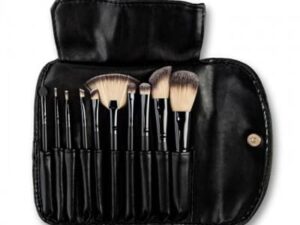 Professionele Brush set