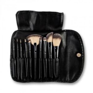 Professionele Brush set