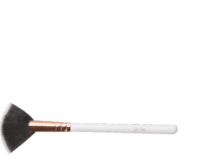 She-Iss Fan Brush