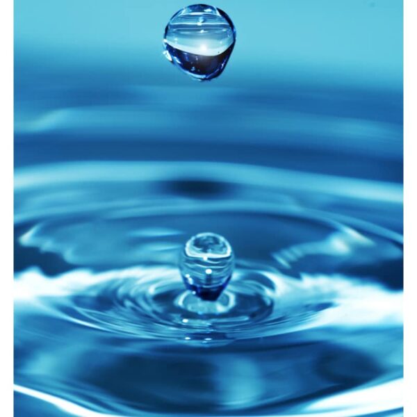 Aquatisch