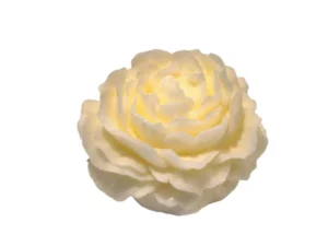 roos de luxe Fresh Cotton