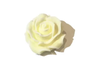 Vanille creme