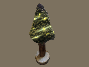 Winterboompje
