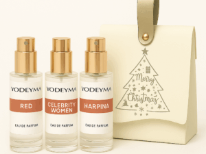 Christmas Mini Collection  - 1