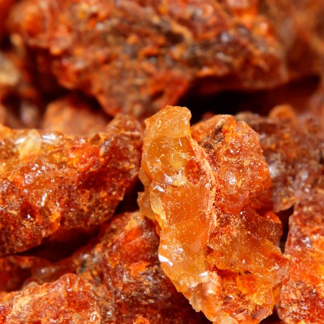 Yodeyma - Ambrax (new 2025) - Afbeelding 4