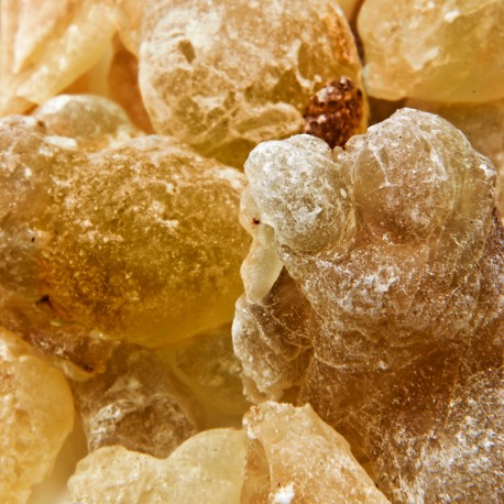 Yodeyma - Ambrax (new 2025) - Afbeelding 3